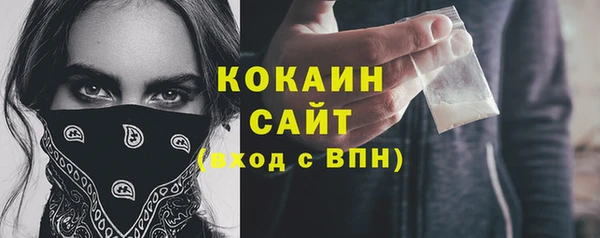 сатива Магас