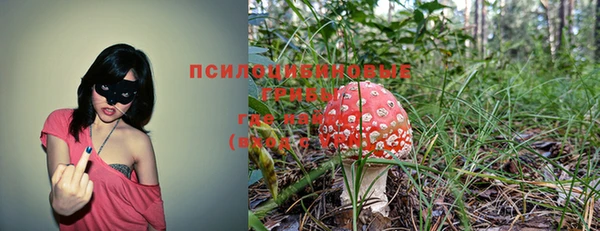 эйфоретик Алексин