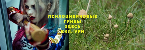 мет Абаза