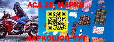 тгк Новодвинск