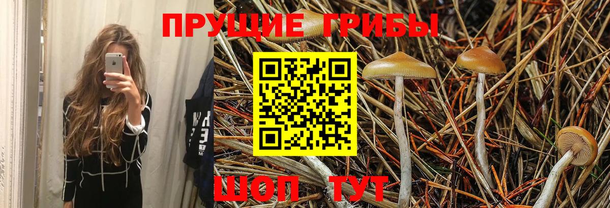 Галлюциногенные грибы Psilocybine cubensis  Вход с VPN  Якутск 