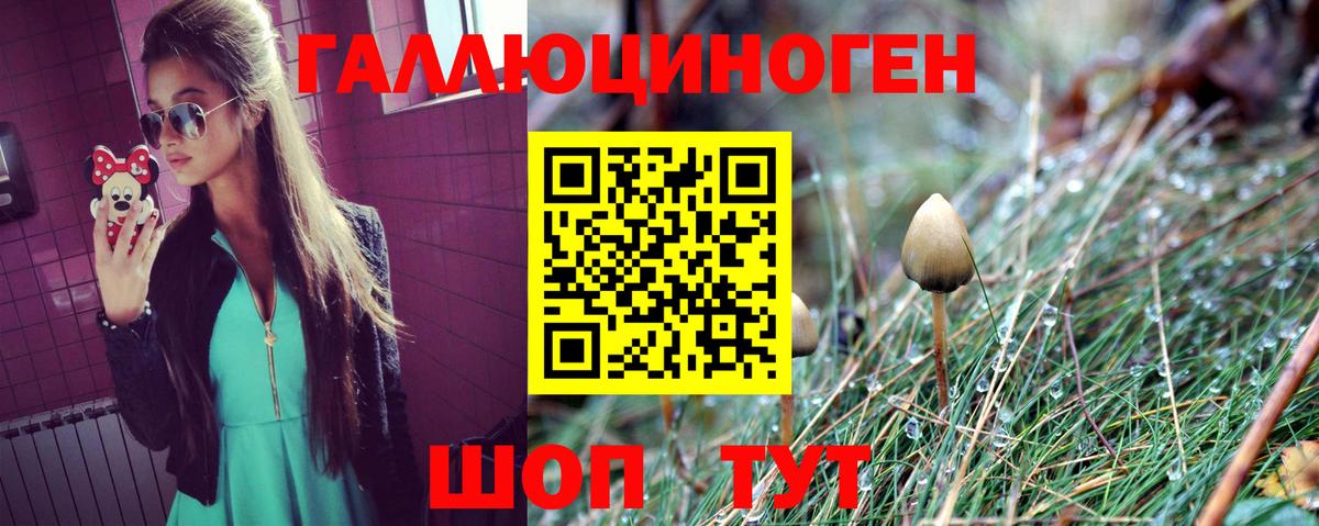 Галлюциногенные грибы Psilocybe Якутск