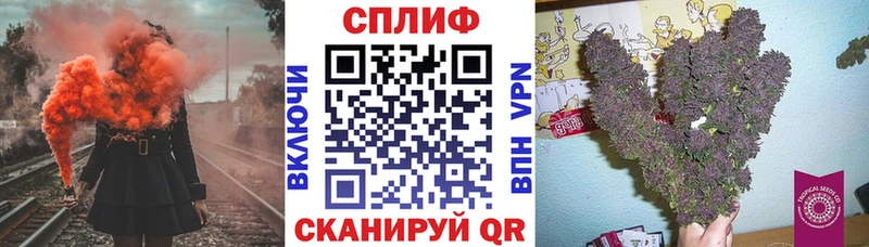 Конопля сатива  продажа наркотиков  hydra рабочий сайт  Якутск 